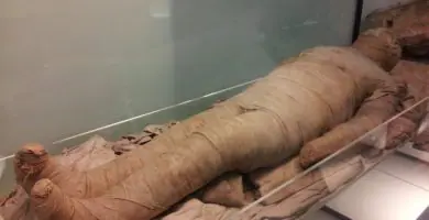Soñar con amortajar