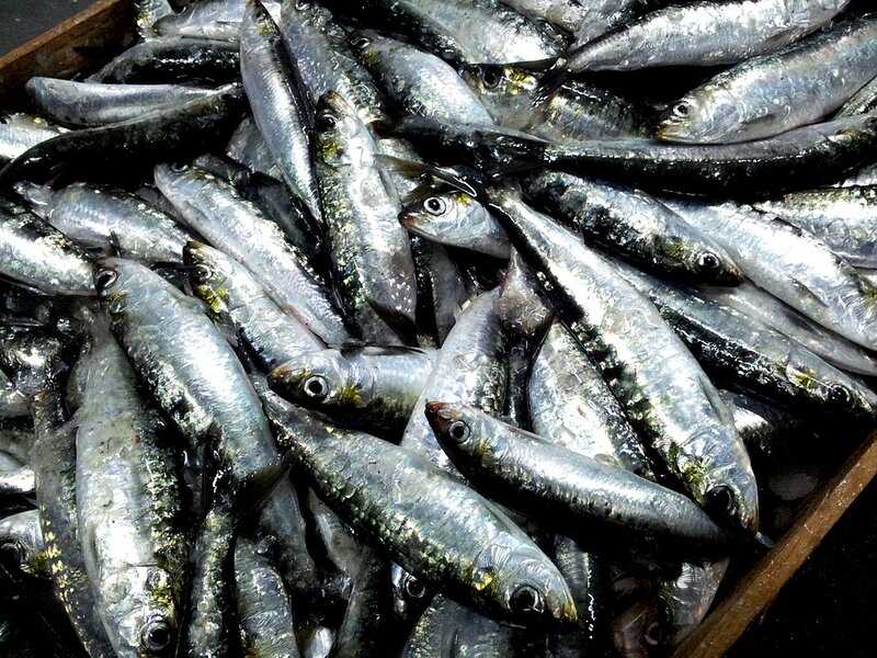 soñar con sardinas