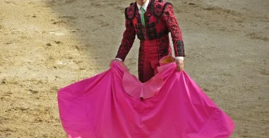 soñar con torero